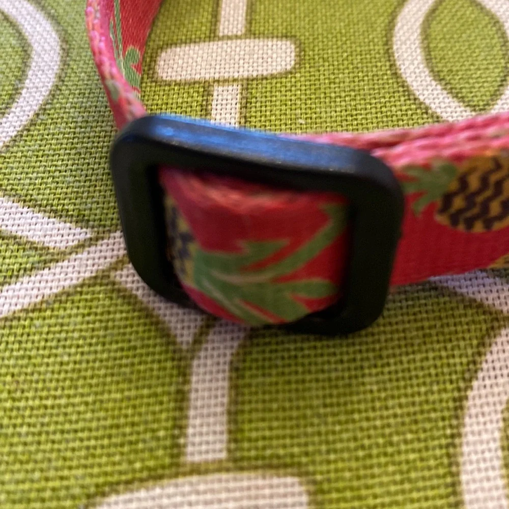 Azusa pink with pineapple dog collar.5/8” wide 12” to 17” neck size